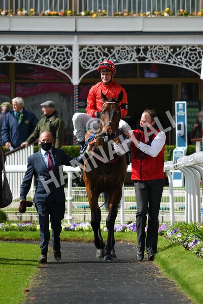 yr22052021r4-48 - Race 4 3.50pm WilliamHill.com Best Odds Guaranteed Stakes