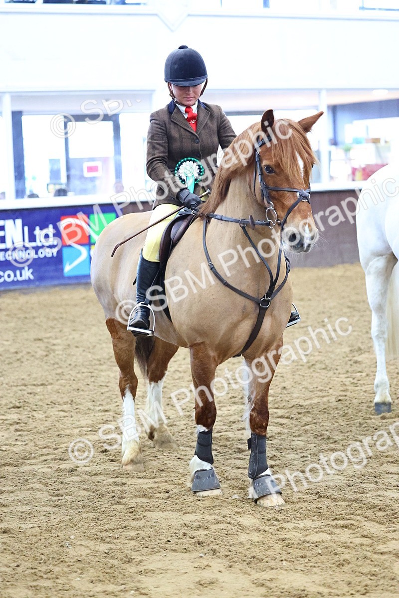 SBM_003694 - Class 37 - 80cm Training Stakes