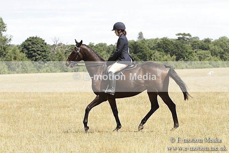 _BS_0784 - BVRC Show 2018 Ring 1