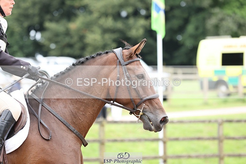 240803-110535-02174 - 114-Amanda_Wreford-Brown-MIDSUMMER_DAZZLE