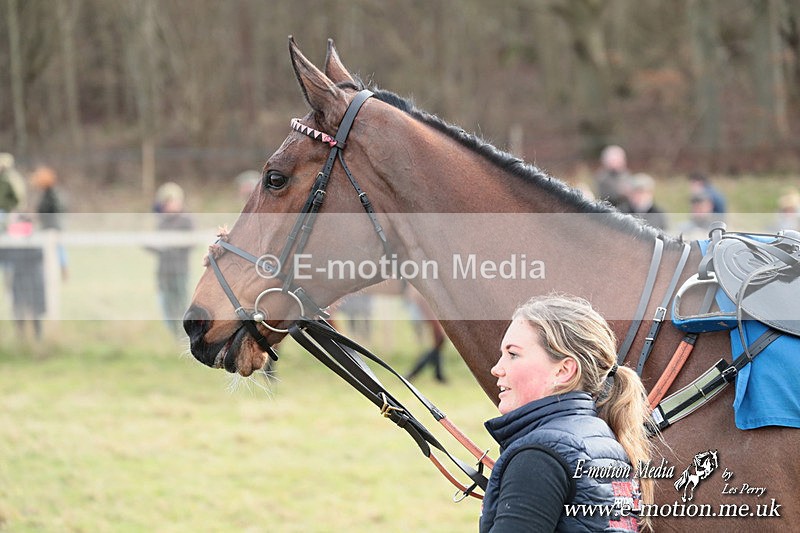 PtP 220225 149 - Kimblewick Point-to-Point  Kingston Blount 22/02/25