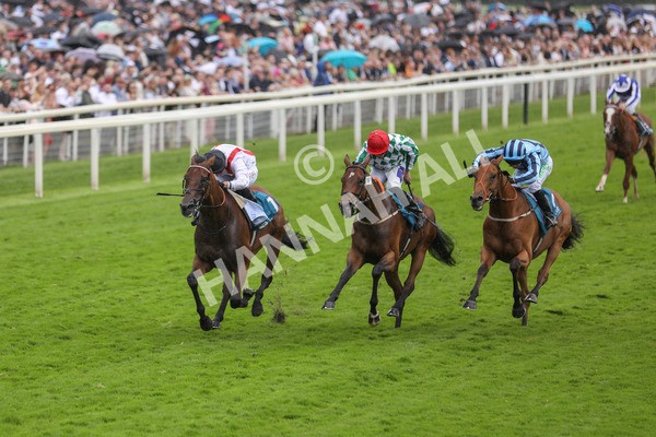 150723-Race 4-Hamish-8832 - Race 4 3.45pm John Smith's Silver Cup Stakes