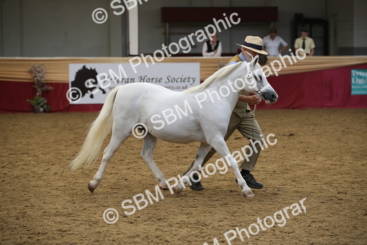 SBM_05675 - Class 9R - Regional IH Pre-Vet