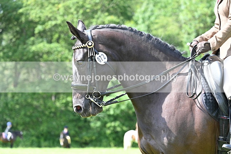 WJ7_1105 - Class 11 Condition & Turnout