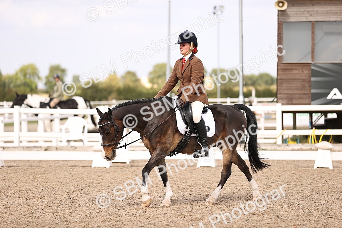 SBM_06073 - Class 37 Novice 5