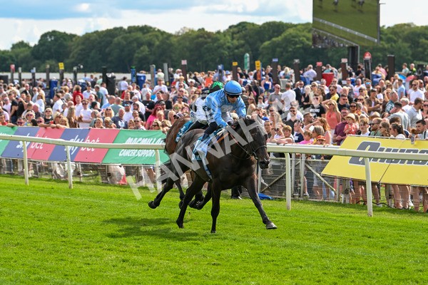 140625-Race 5-Egoli-3079 - Race 5 4.10pm Reg Griffin Appreciation EBFstallions.com Maiden Stakes