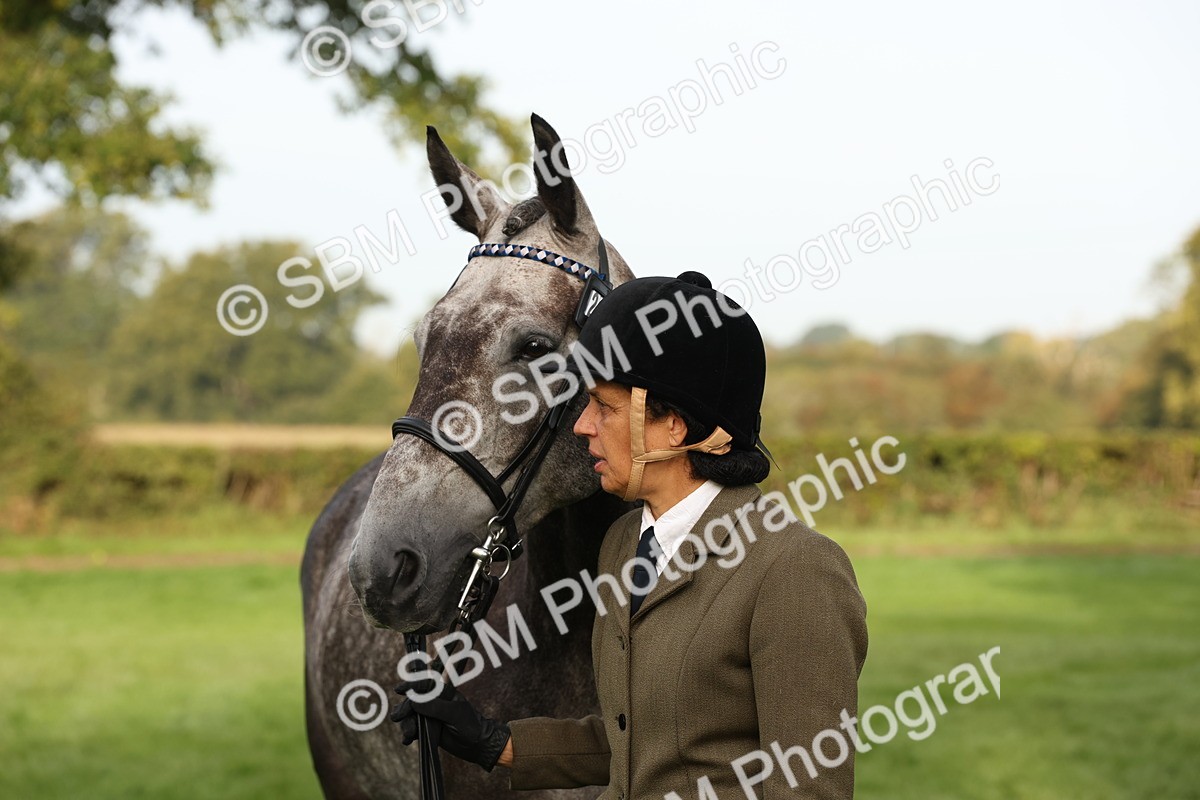SBM_54993 - S52 - Riding Horse & Hack & thoroughbred In Hand