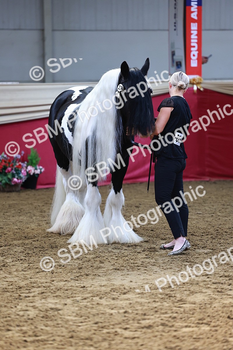 SBM_22380 - Class 902 - Supreme Final - IH Diamond