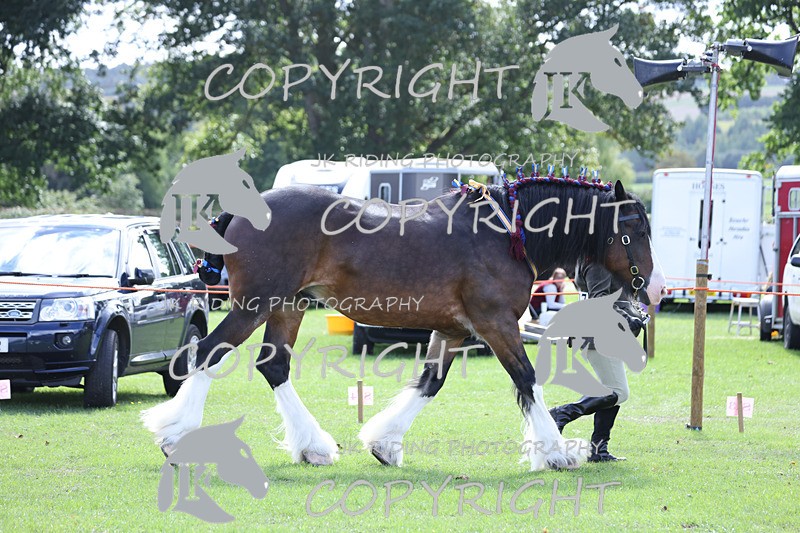 APP_3338 - Class 4 Veterans