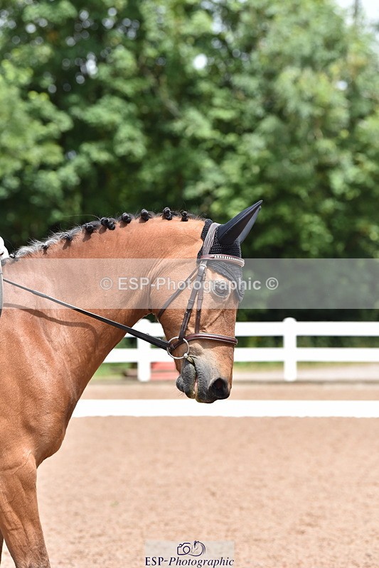 240706A-121648-02231 - Cls 3D Jnr Novice 24