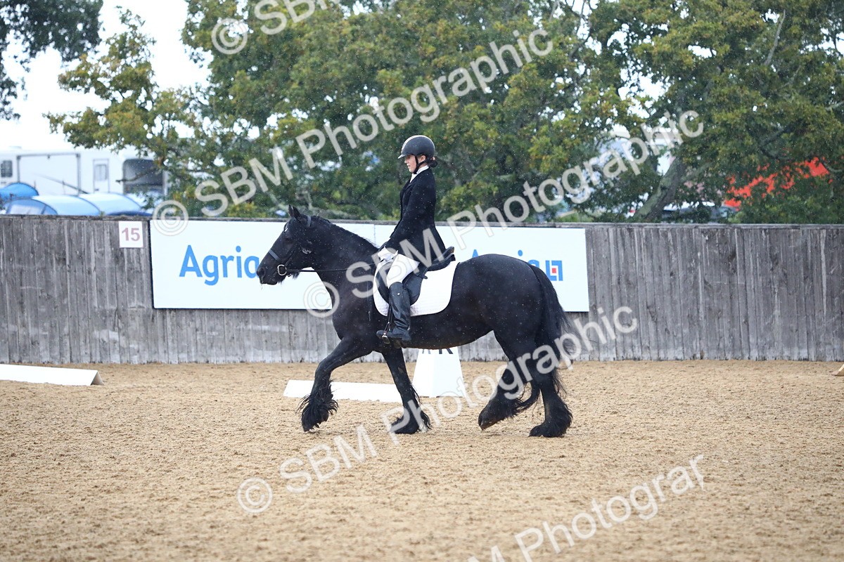 SBM_42832 - D21 - Junior Championship Intro 1