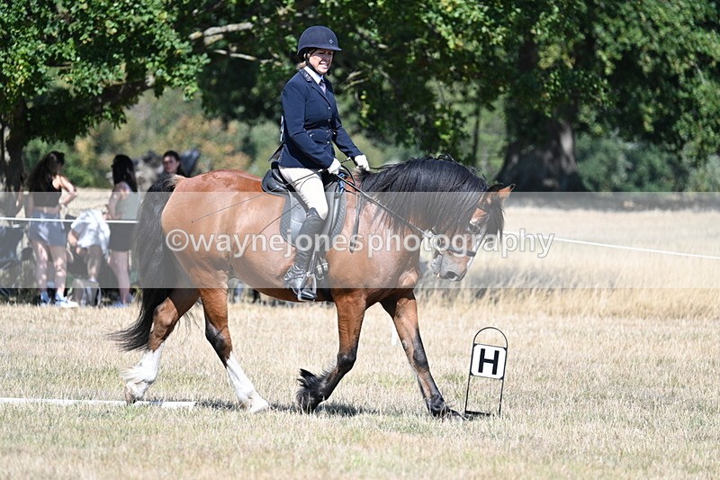 WJ7_0766 - Time 12:03 to 12:23