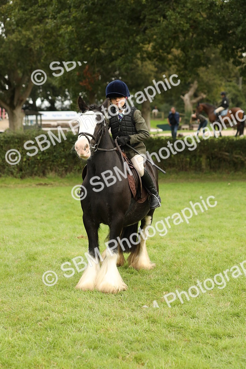 SBM_71699 - S41 - Ridden Equitation (Best Rider)