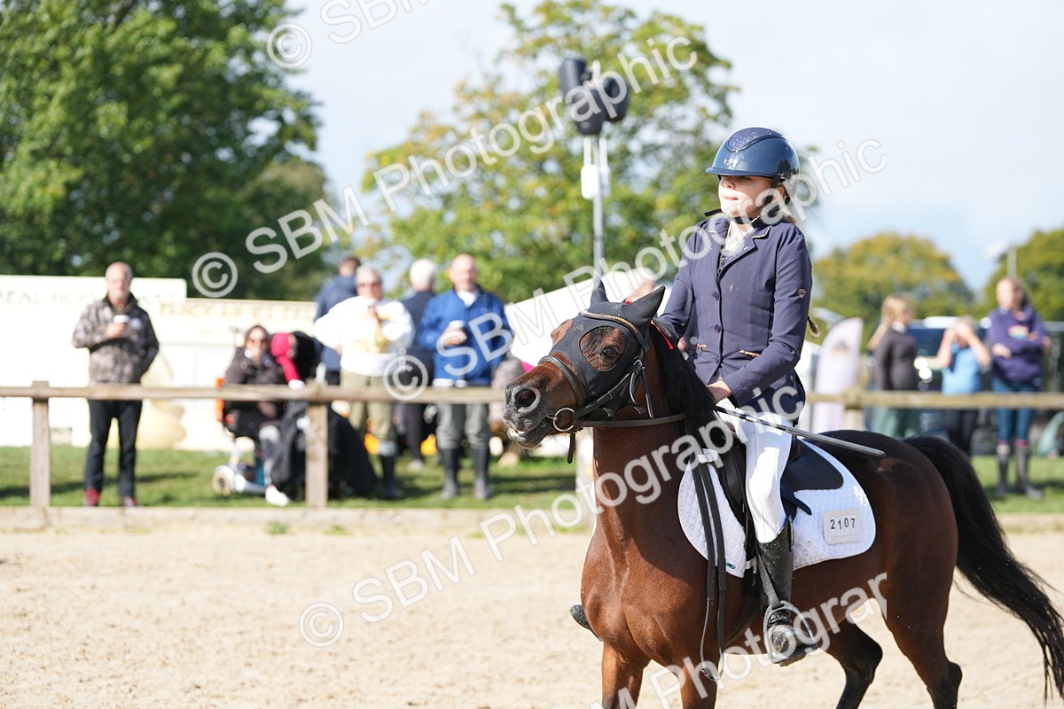 SBM_38477 - J6 - Junior Pony 55cm Championship
