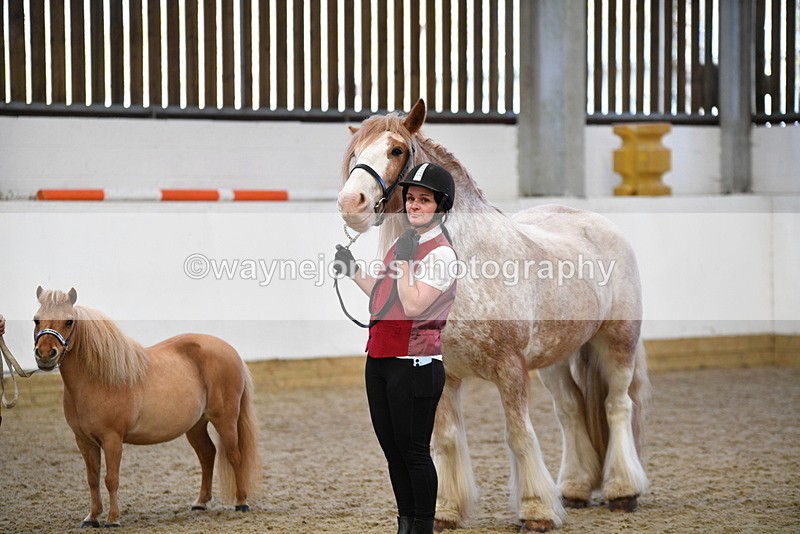 WJ5_5089 - Class 7 In hand coloured / odd coloured