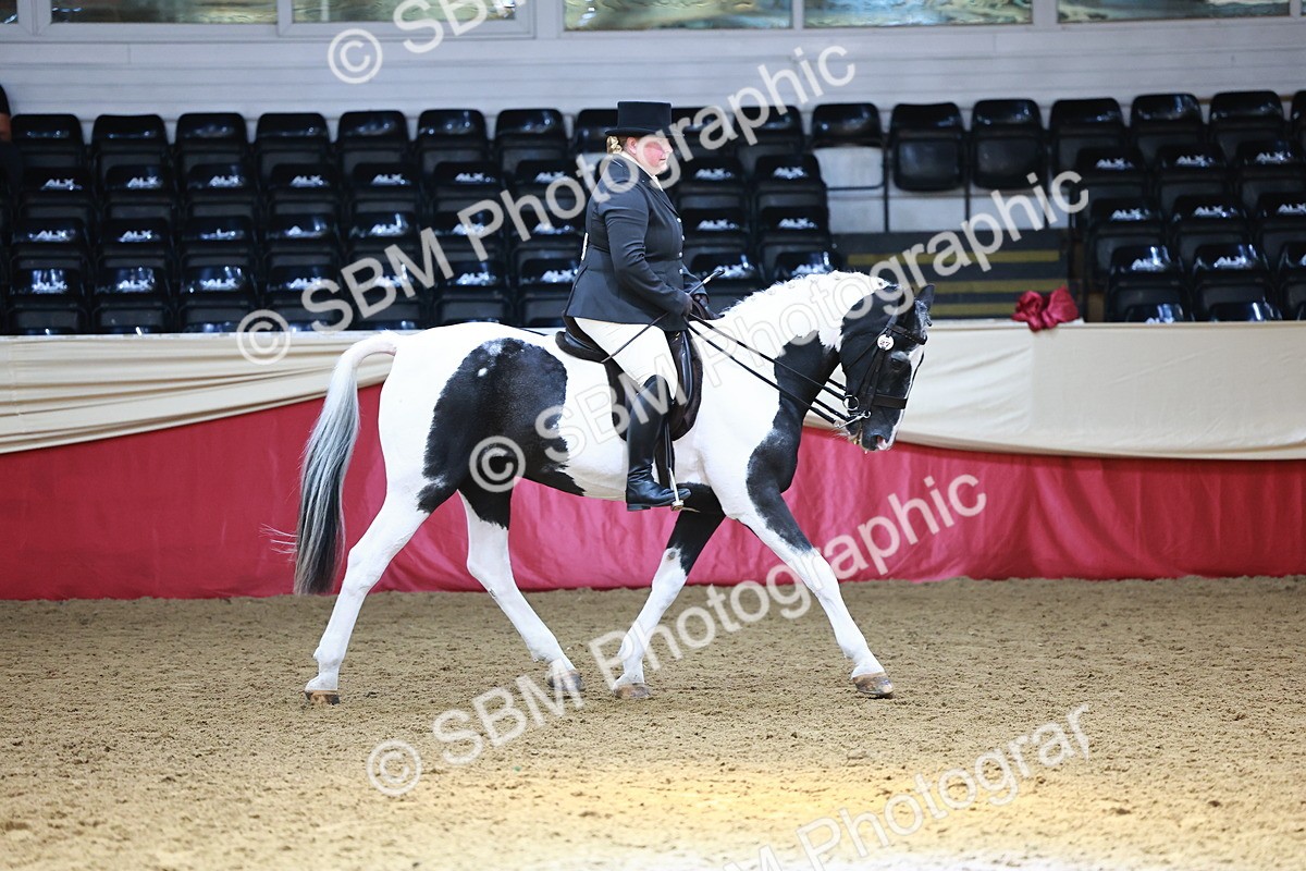 SBM_23132 - Class 904 - Supreme Final - Ridden Diamond