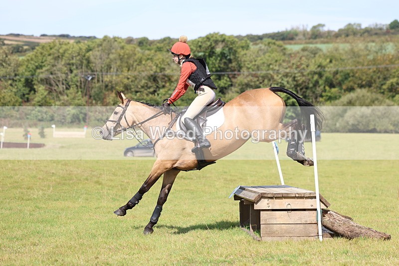 3E7A6665 - Class 1: Trebudannon Open: Pheasant Feeder