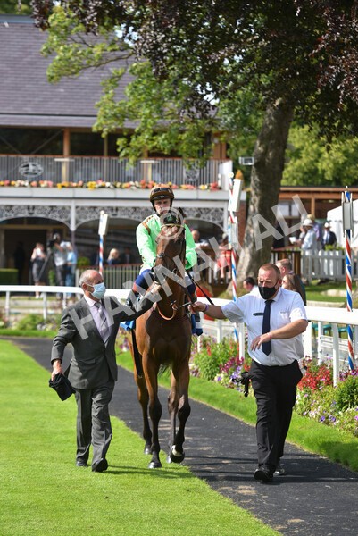 yr09072021r5-55 - Race 5: 4.20pm Garbutt + Elliott Stakes