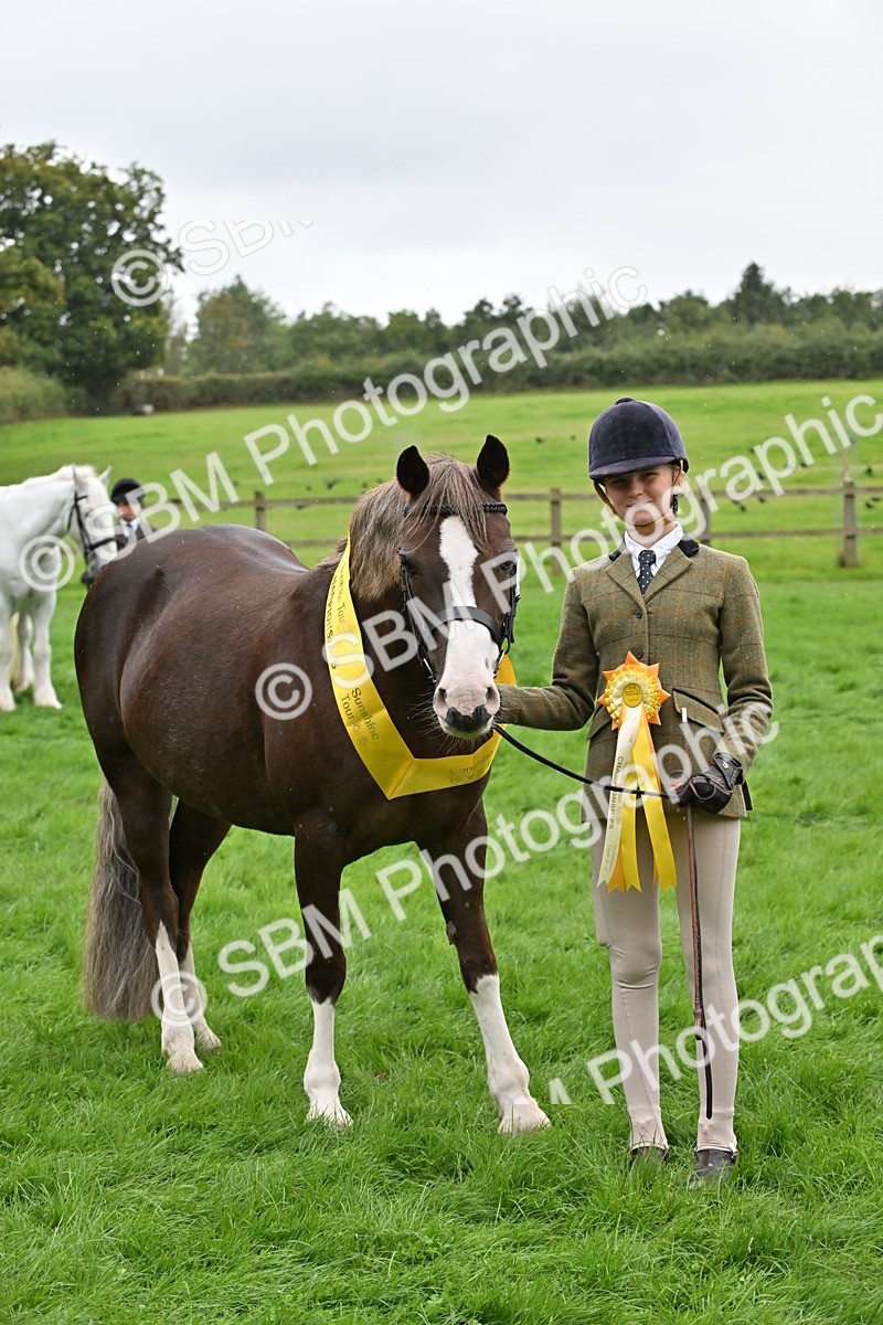 SBM_68612 - S42 - Junior Handler 9-12 Years