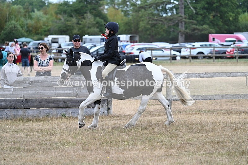 WJ7_7303 - Class 2 Best Rider