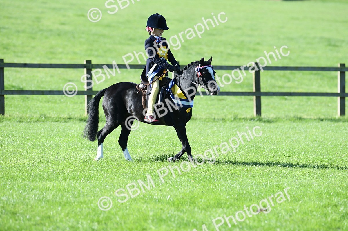 SBM_35611 - Top Turnout Supreme Championship