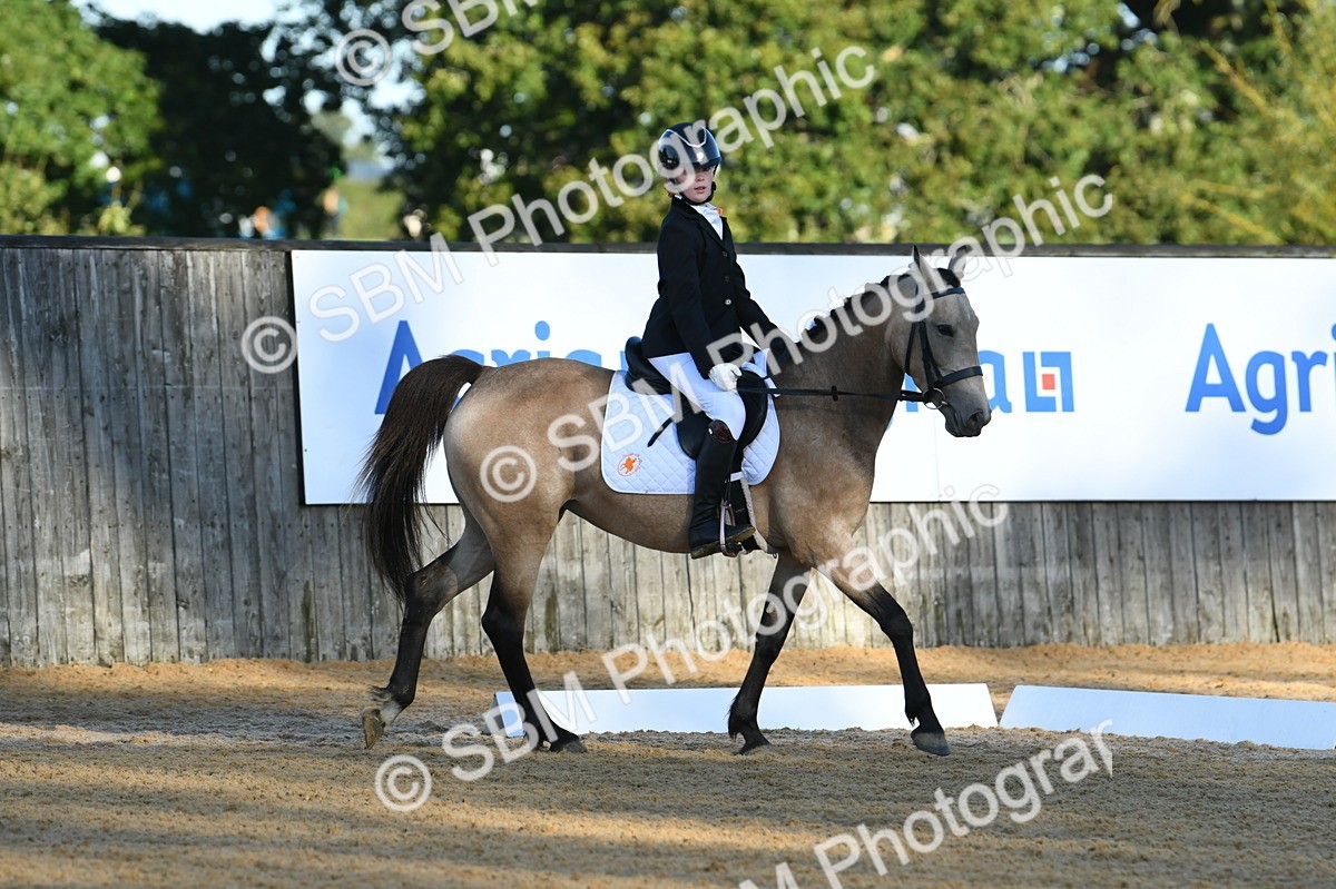 SBM_14315 - D4 - Small Tour Championship - Intro B