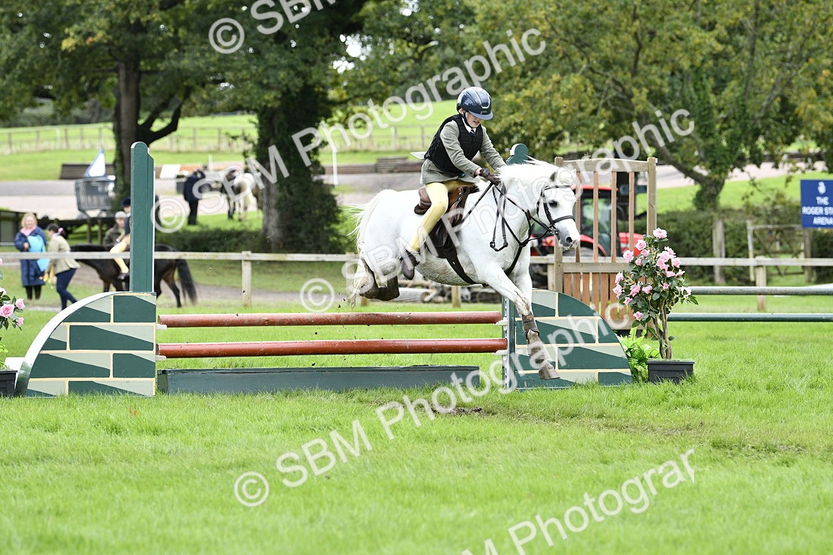 SBM_41293 - S32 - Mountain & Moorland Working Hunter Pony