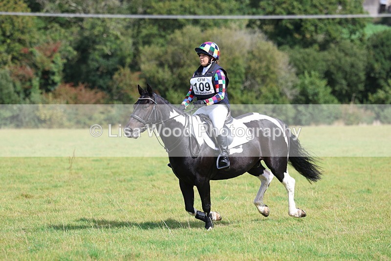 3E7A6536 - Class 1: Trebudannon Open: Pheasant Feeder