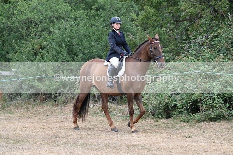 WJ7_0750 - Class 7 Riding Club Show Horse