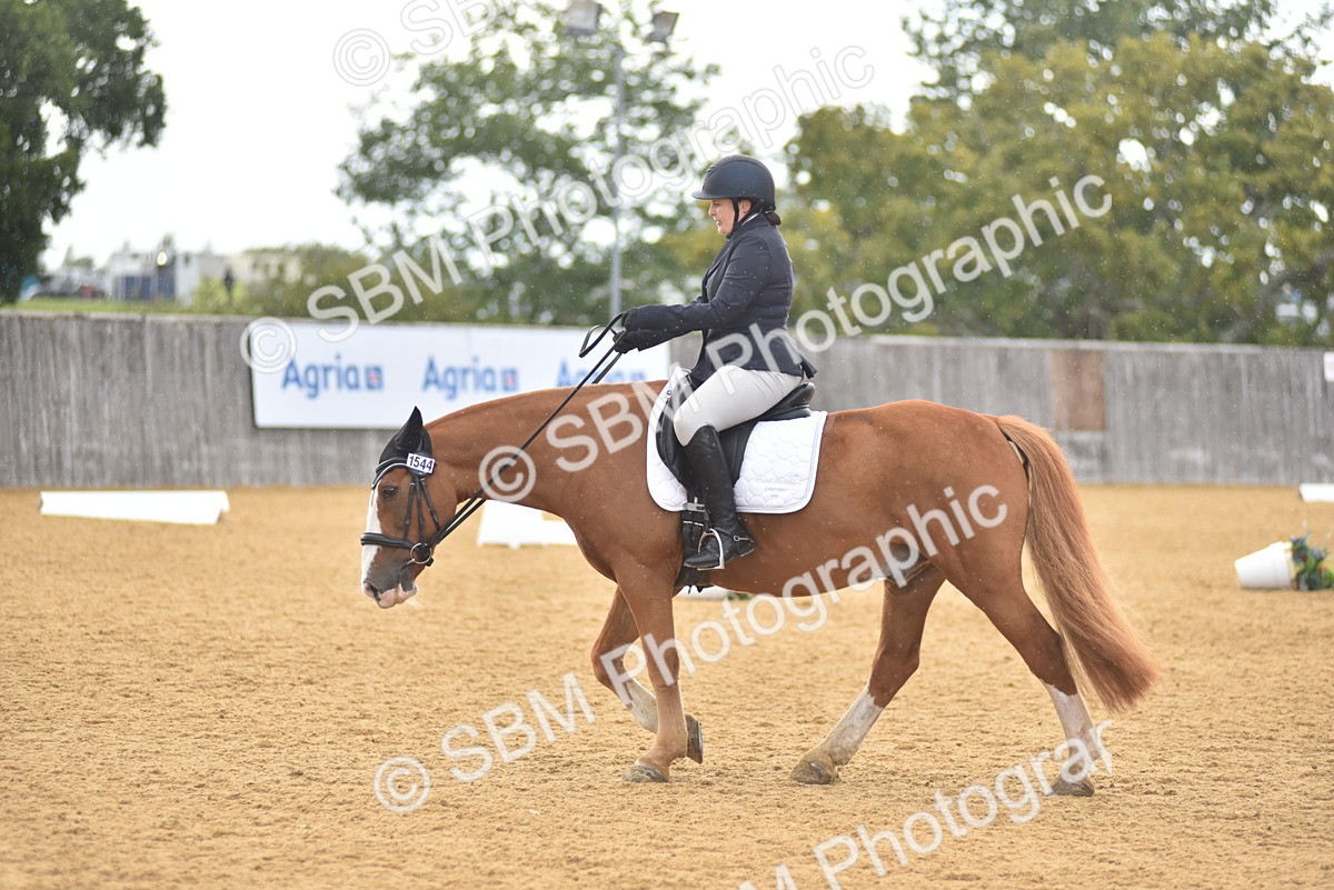 SBM_11312 - D15 - Small Tour Championship Novice 1