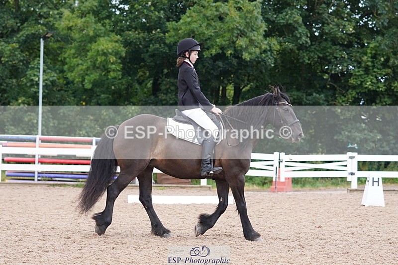 240809A-095436-00355 - Dressage Competition