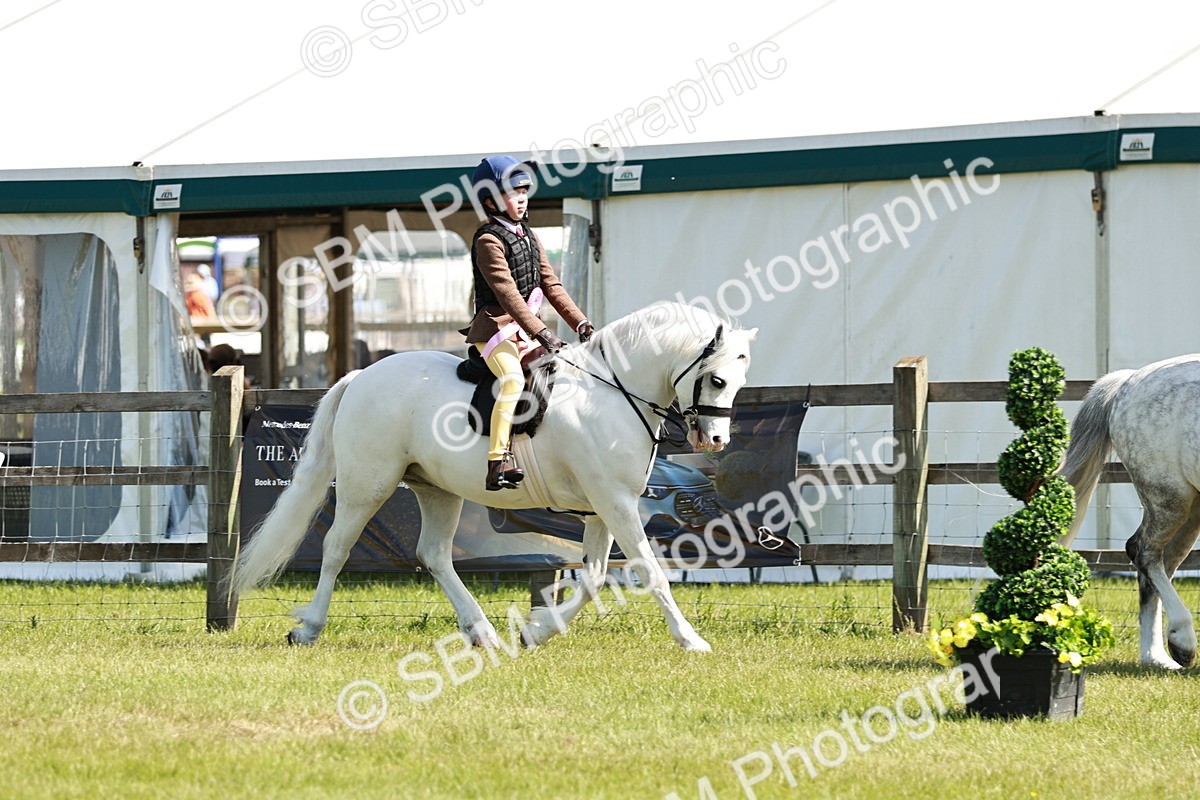 SBM_12849 - Class 106-107 - BSPS LIHS Working Sports Pony