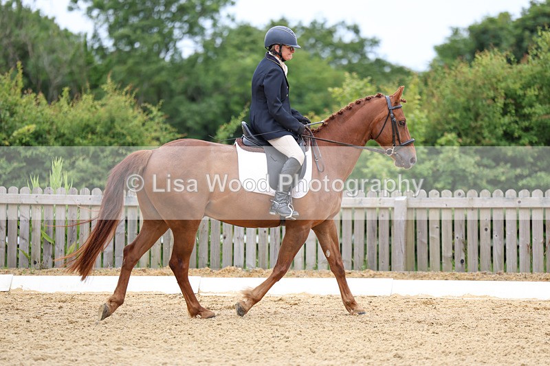 3E7A9371 - Class 2: Intro 1 2024 Section B