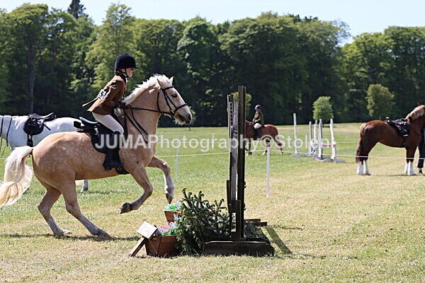 IMG_4240 - Working Hunter