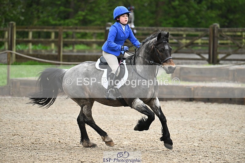 250418A-084802-00129 - NSEA GR 60cm