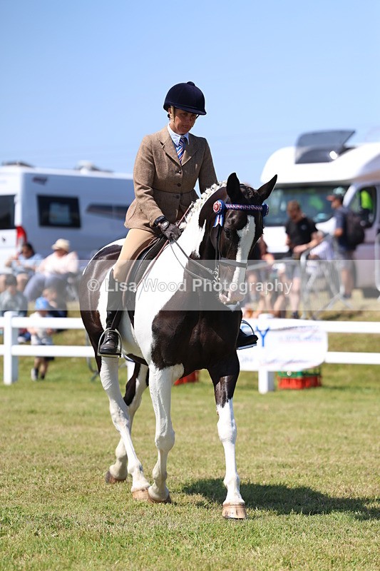 3E7A7863 - Class 7: Open Riding Horse