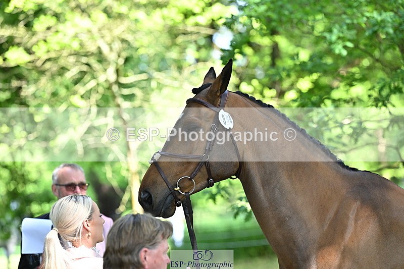 250521A-154613-00748 - B-364-Yasmin.Ingham-KINDA.CORVETTE