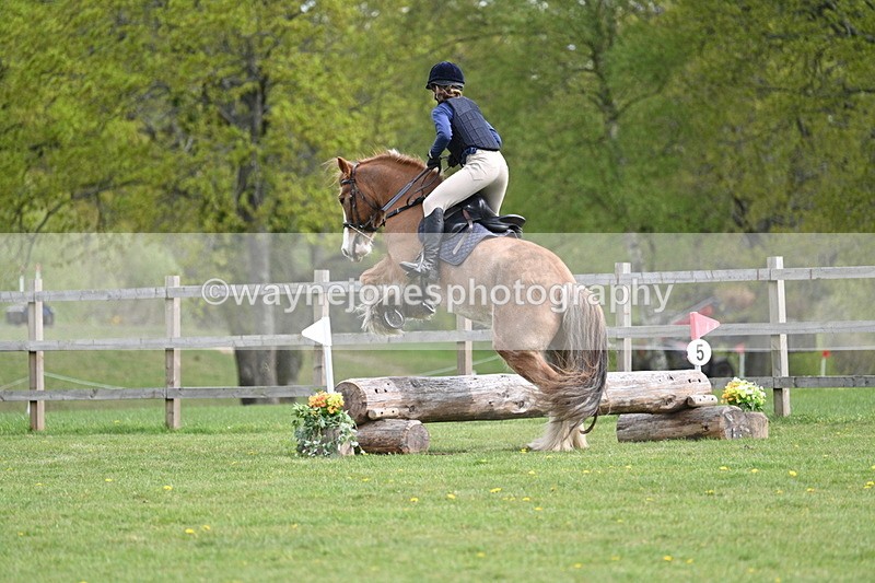 WJ7_6388 - 60cm Time 11:12 to 11:36