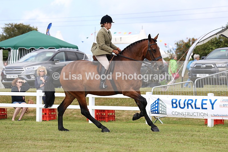 3E7A9319 - Class 4: Rising Star M/H Hunter