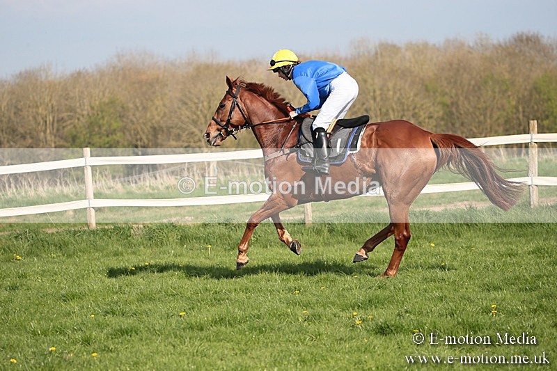 PtP 210418 475 - South & West Wilts Point-to-Point Larkhill 21/04/18