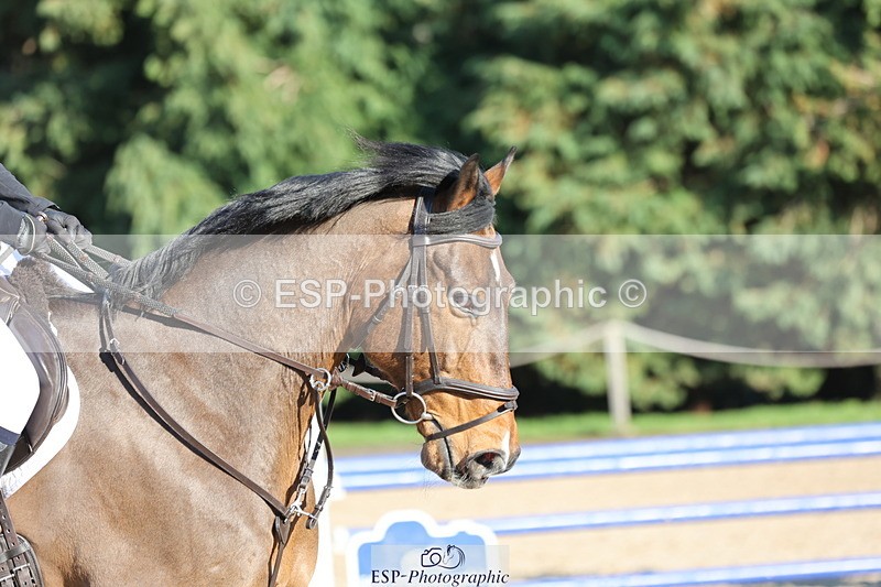 250209A-140606-01608 - 90cm 13.35 to End