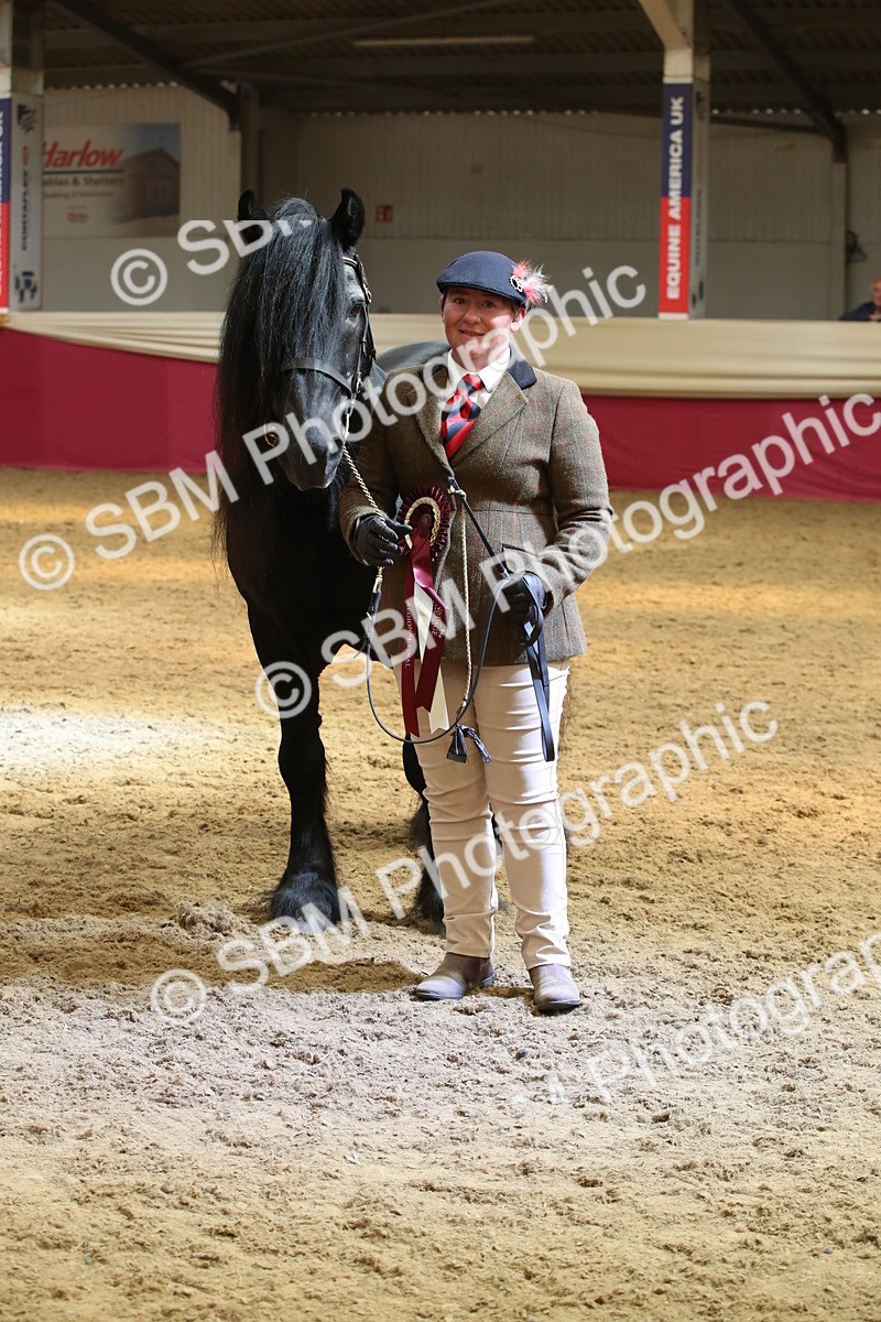 SBM_05419 - Class 8R - Regional IH Veteran