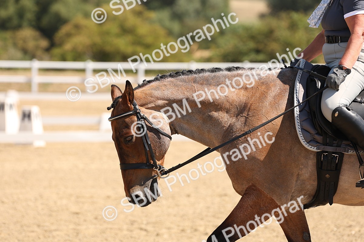 SBM_001177 - Intro 2