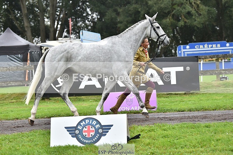 231018-122106-00232 - 029-KING.LOUIS-Mary.King-TrotUp