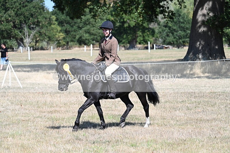 WJ7_4245 - Class 9 Mountain & Moorland Ridden