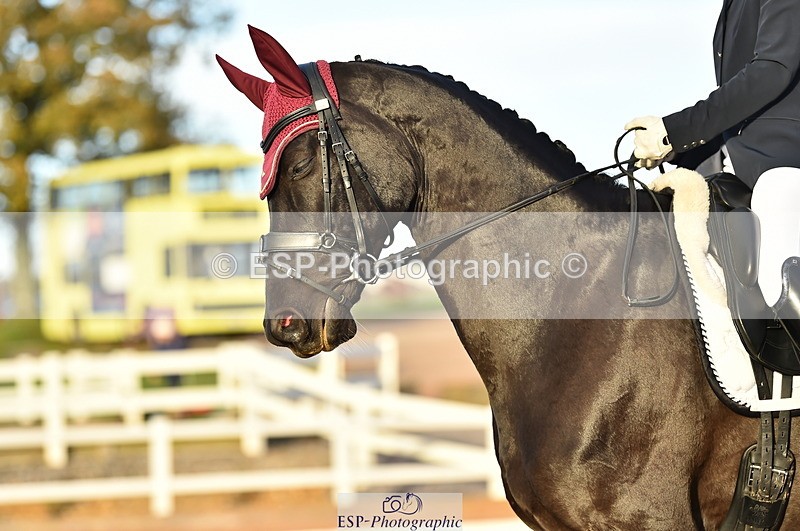 231104A-151526-02302 - Cls 14 Adv Medium 98