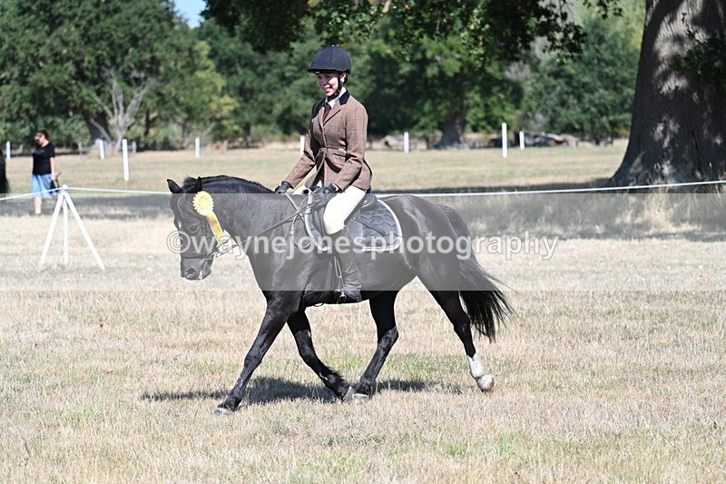 WJ7_4246 - Class 9 Mountain & Moorland Ridden