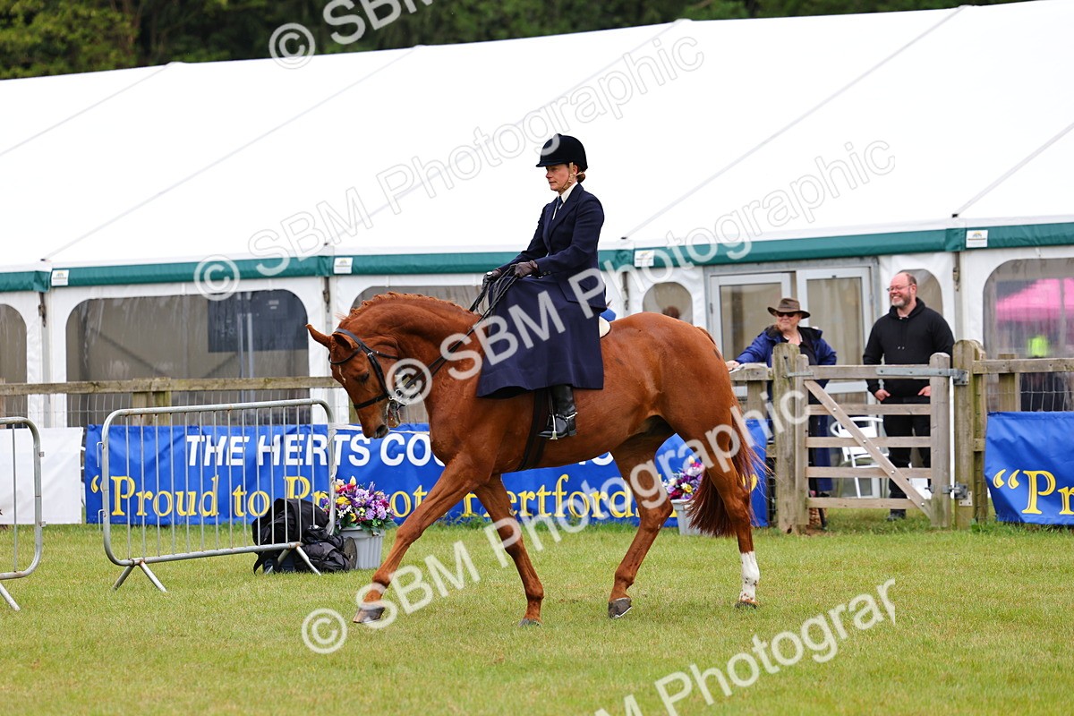 SBM_02945 - Class 9-11 Side Saddle including LIHS Rising Star Ladies Show Horse