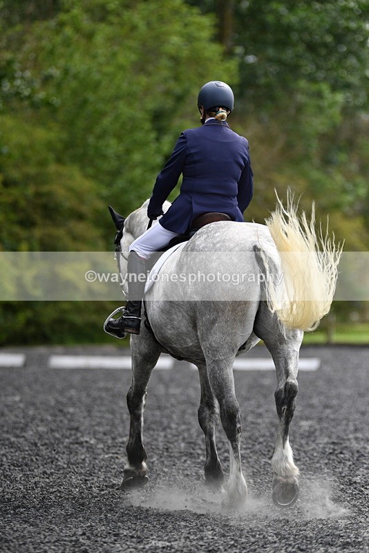 WJ5_2042 - Time 15:05 to 15:30