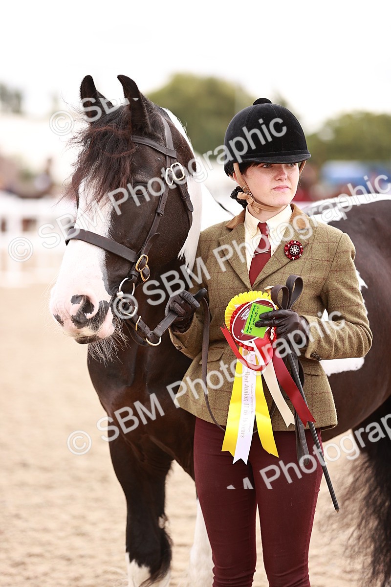 SBM_18505 - Class 420 - Ridden M&M